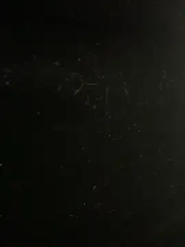 mengmeng776 online show from February 10, 4:17 pm