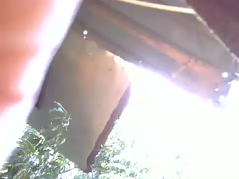 Snapshot of LadyPanda chatting on February 3, 11:04 am LadyPanda online show from February 3, 11:04 am