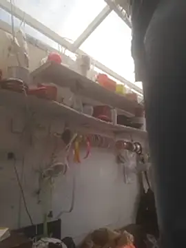 Almeyjose online show from December 15, 5:52 pm