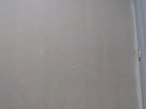 moreno dotado22 online show from December 19, 2:26 am