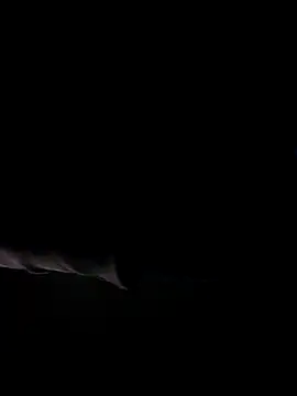 bnglrboy0886 online show from April 22, 5:31 pm