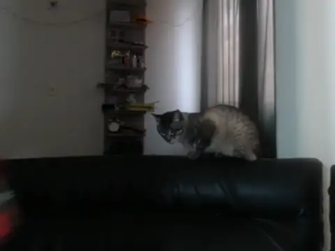 BeautyYoungblond online show from February 3, 10:26 pm