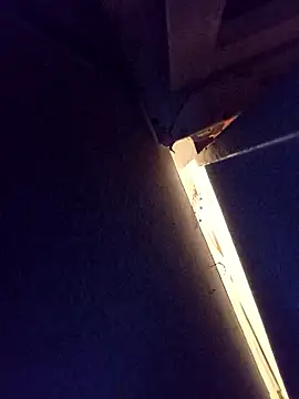 damslebambou1 online show from January 14, 1:09 am