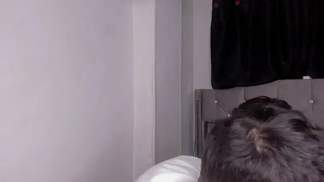 naughtysalomon   online show from February 15, 12:55 am