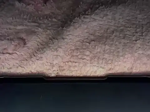 Snapshot of OherDav chatting on February 25, 7:41 am OherDav online show from February 25, 7:41 am