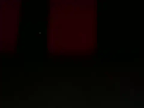 Snapshot of OherDav chatting on February 8, 3:37 am OherDav online show from February 8, 3:37 am