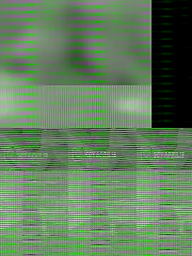 Uma pande online show from December 21, 2:52 pm