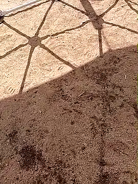 LaicyBrown76 online show from March 7, 8:32 am