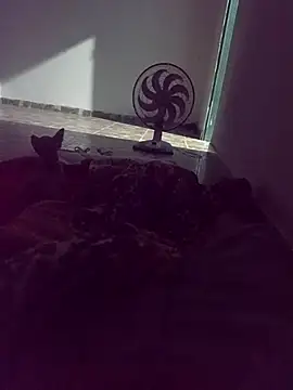 WPS15 online show from April 15, 11:27 pm