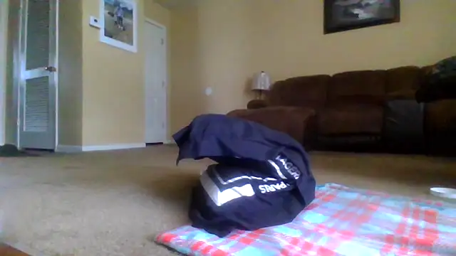 KingDes55 online show from April 14, 5:51 pm