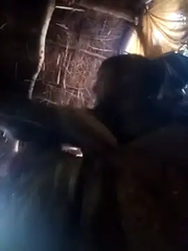 Kiran bhabi online show from January 7, 11:59 am