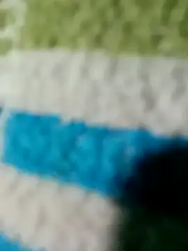 tamilansinsforu online show from February 14, 1:11 pm