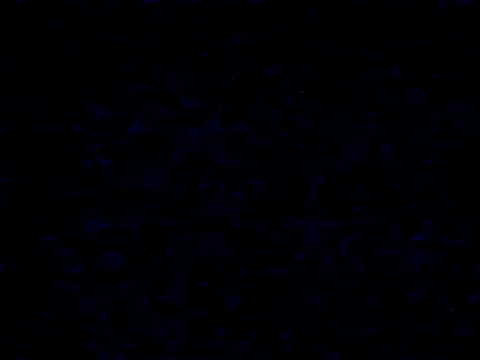 danylush online show from December 20, 12:30 pm