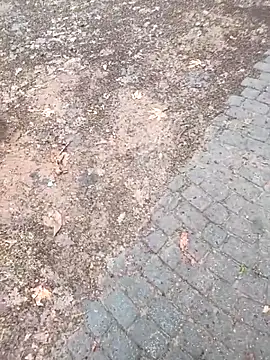 musa27272 online show from February 1, 5:27 am