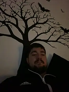 LienalWarplane online show from February 14, 7:36 pm