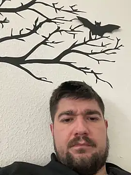 LienalWarplane online show from February 15, 1:43 pm