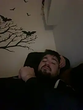 LienalWarplane online show from February 26, 2:00 am