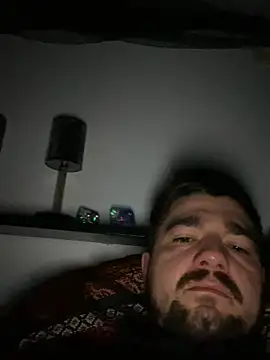 LienalWarplane online show from February 11, 1:00 pm