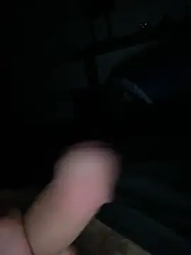 LienalWarplane online show from March 9, 12:14 am