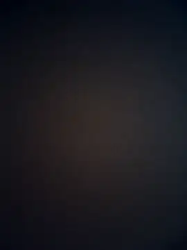 Rohni bhabi online show from January 7, 2:00 pm