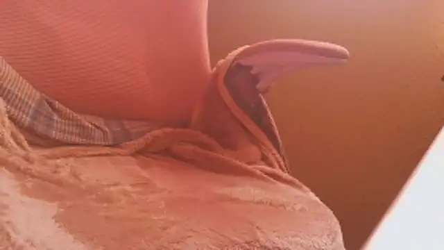 Michaelo666 online show from February 11, 11:21 am