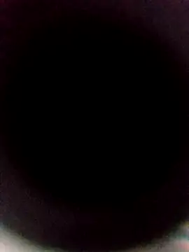 sexback11 online show from January 14, 6:50 am