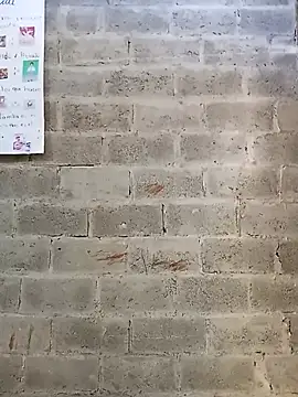 bonita  online show from January 14, 1:15 pm