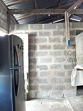 bonita  online show from January 9, 2:35 pm