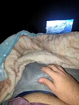 bigboss27001 online show from December 19, 6:49 am