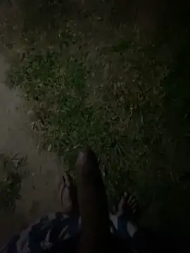 Snapshot of GuioficialBr chatting on December 21, 4:47 am GuioficialBr online show from December 21, 4:47 am