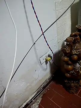 thobaby99 online show from January 9, 7:48 am