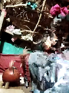 Cuty priti online show from May 14, 4:48 pm