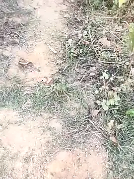 Sheela Sex90 online show from April 15, 11:59 am