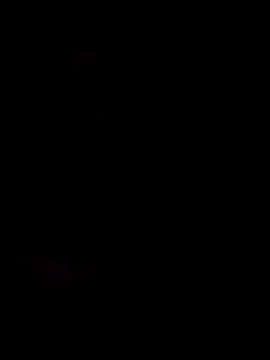 honorhorny online show from February 5, 11:00 pm