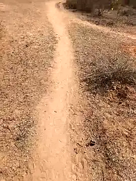 Tamilpaiyan07 online show from February 8, 5:49 am