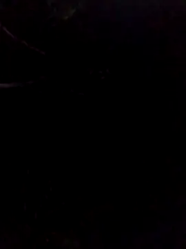 Snapshot of gingavi chatting on May 17, 1:16 am gingavi online show from May 17, 1:16 am