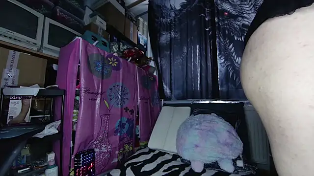 xNiceTitsx online show from November 23, 7:29 am