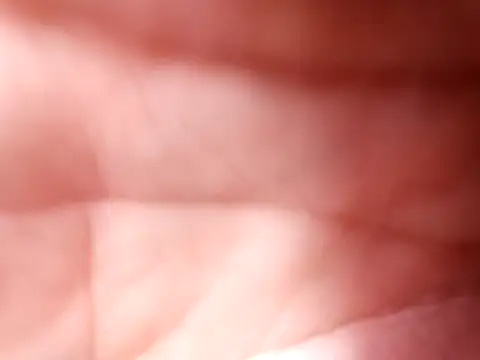 mellzinhacasada online show from February 16, 5:00 pm