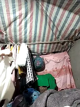 Lucky cutee online show from January 17, 4:49 am