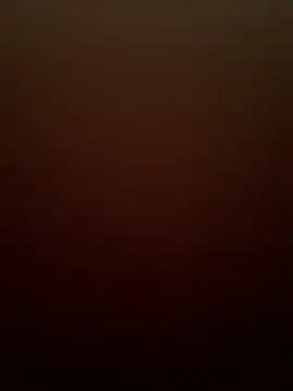 silentman777 online show from December 21, 5:31 am