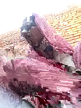 Rakhi cut online show from January 13, 2:37 am