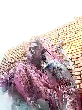 Rakhi cut online show from January 12, 3:02 am