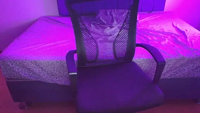 Sofii unicorn online show from March 14, 1:44 am