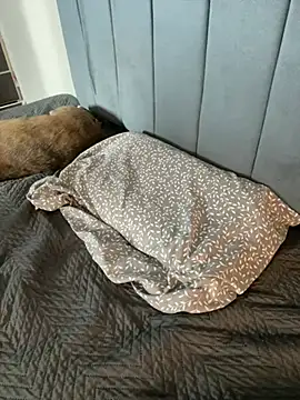 Sofii unicorn online show from April 9, 3:19 am