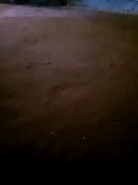 Kajal sexe online show from December 21, 3:52 am