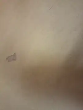 yourburget online show from February 19, 2:25 pm