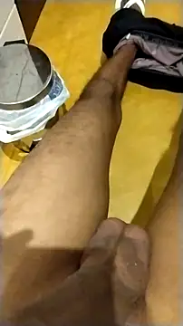 Novinhoie online show from February 1, 9:24 pm