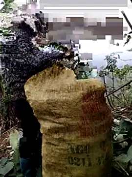 galaxy898 online show from January 6, 7:34 am