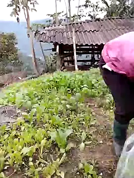 galaxy898 online show from February 2, 9:41 am