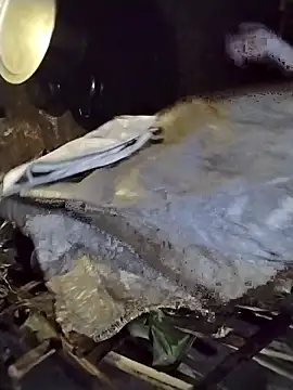 galaxy898 online show from February 27, 12:38 pm